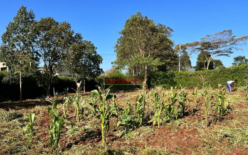 Prime Residential Plots For Sale In Kikuyu, Gikambura.