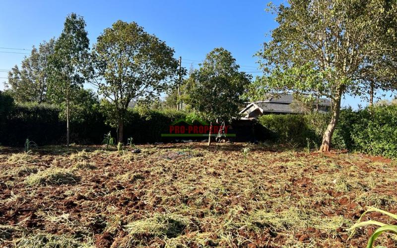 Prime Residential Plots For Sale In Kikuyu, Gikambura.