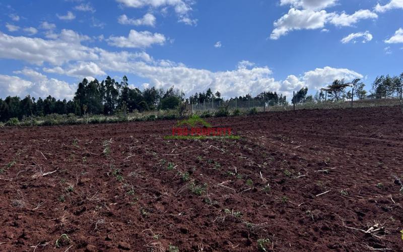 Prime Residential Plot For Sale In Kikuyu, Kamangu.