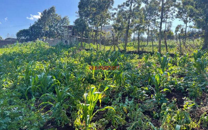 Prime Commercial Plot For Sale In Kikuyu, Sigona Along Waiyaki Way.