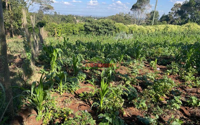 Prime Commercial Plot For Sale In Kikuyu, Sigona Along Waiyaki Way.