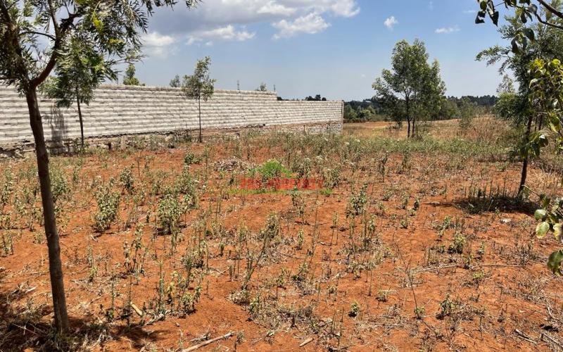Prime Residential Plot For Sale In Kikuyu, Kamangu.