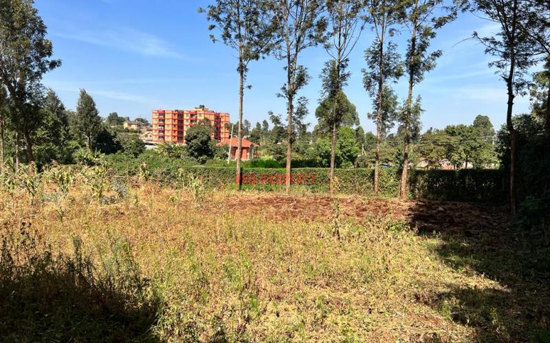 Prime 50 By 100fts Plot For Sale In Kikuyu, Thogoto.