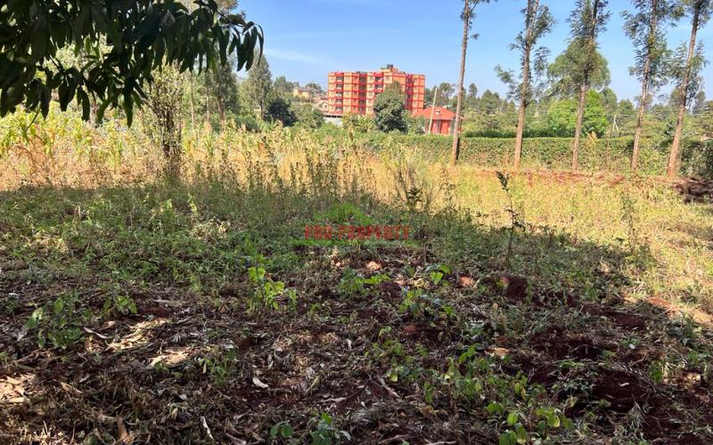 Prime 50 By 100fts Plot For Sale In Kikuyu, Thogoto.