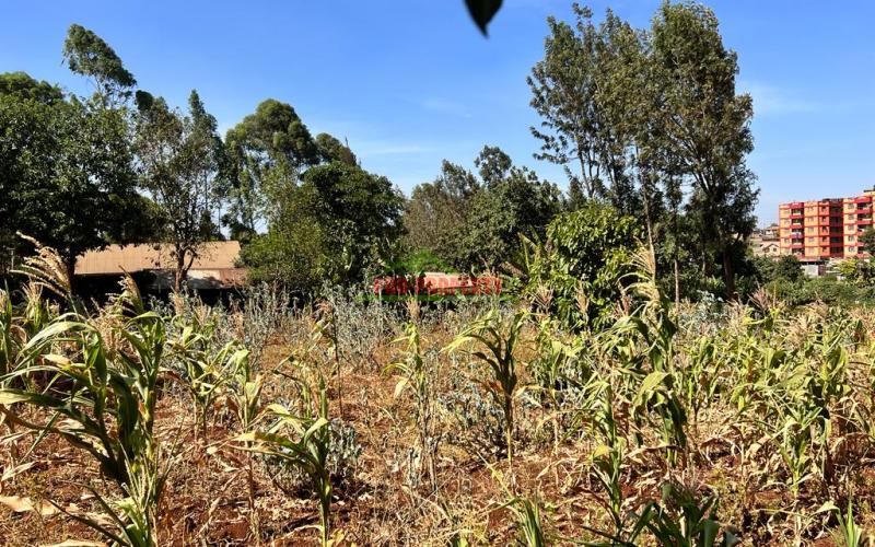 Prime 50 By 100fts Plot For Sale In Kikuyu, Thogoto.