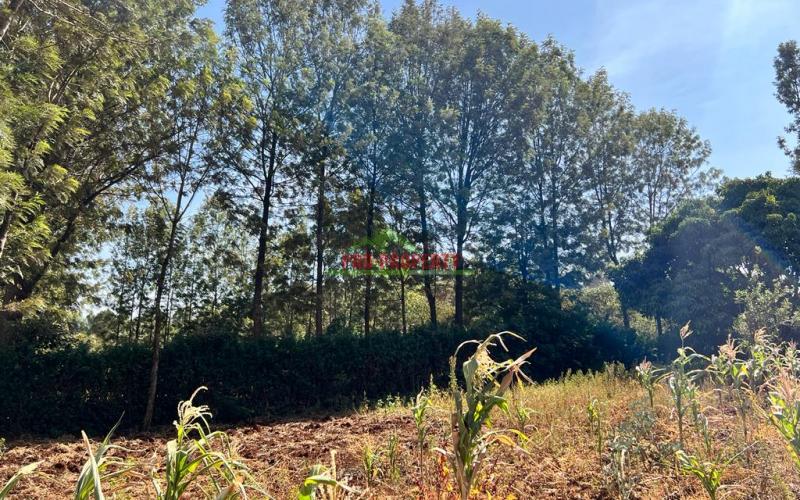 Prime 50 By 100fts Plot For Sale In Kikuyu, Thogoto.