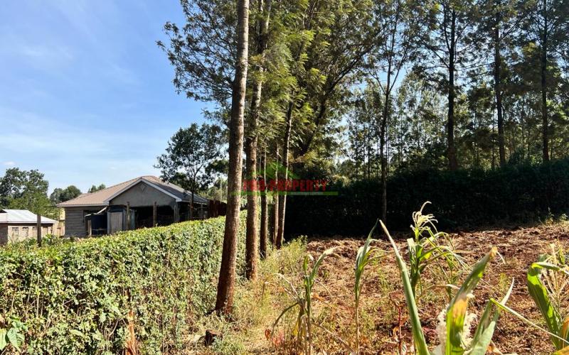 Prime 50 By 100fts Plot For Sale In Kikuyu, Thogoto.