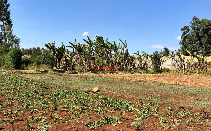 100 X 100ft Residential Plot For Sale In Kikuyu, Ondiri.
