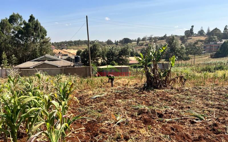100 X 100ft Plot For Sale In Kikuyu, Ondiri.