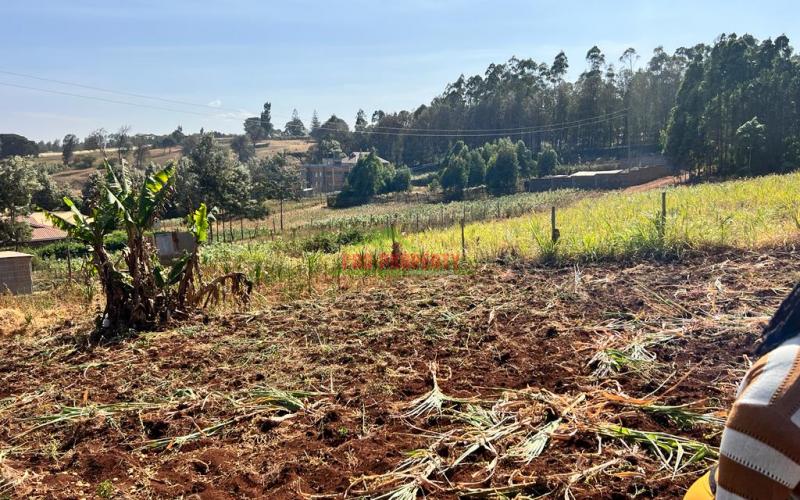 100 X 100ft Plot For Sale In Kikuyu, Ondiri.