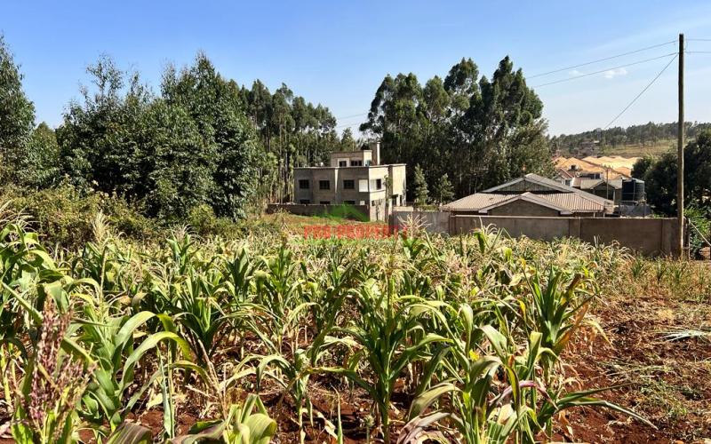 100 X 100ft Plot For Sale In Kikuyu, Ondiri.