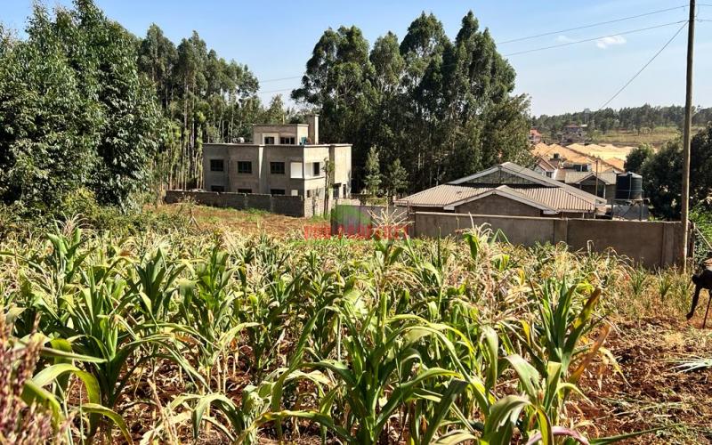 100 X 100ft Plot For Sale In Kikuyu, Ondiri.