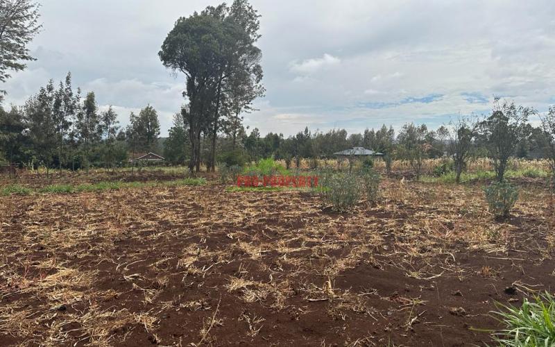 Prime Residential Plot For Sale In Kikuyu, Gikambura.