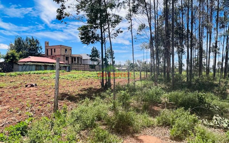 50 x 100fts Plots For Sale in Kikuyu, Gikambura.