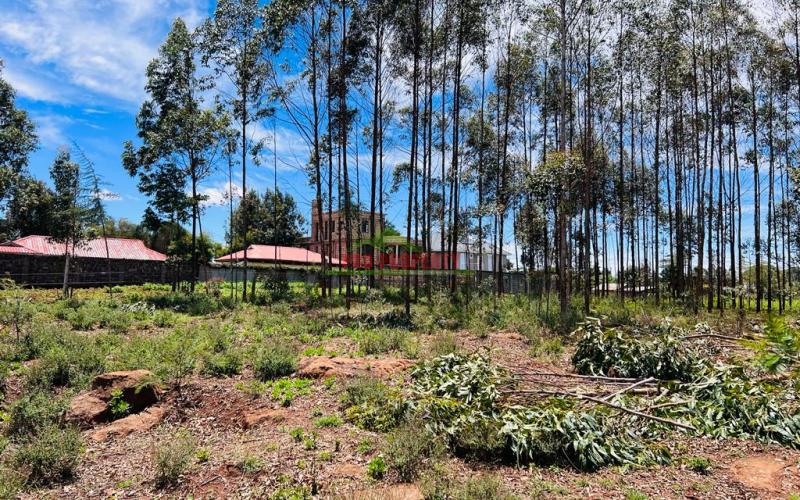 50 X 100fts Plots For Sale In Kikuyu, Gikambura.