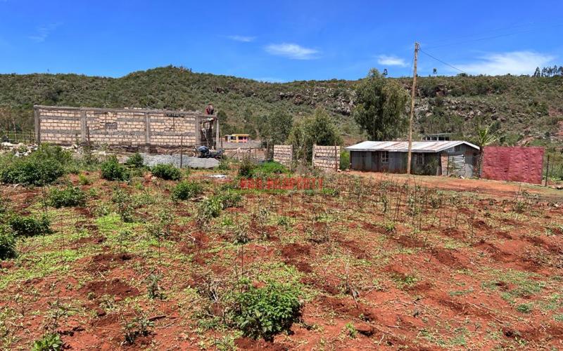 50 X 100ft Plot For Sale In Kikuyu, Nachu.