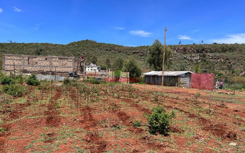 50 X 100ft Plot For Sale In Kikuyu, Nachu.