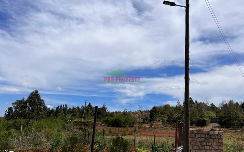 50 X 100ft Plot For Sale In Kikuyu, Nachu.