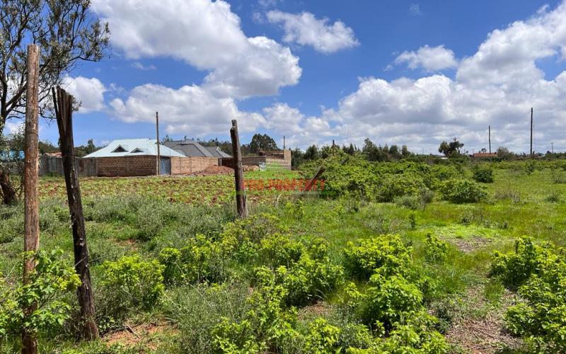 Prime 50 X 100fts Plot For Sale In Kikuyu, Lusingetti.