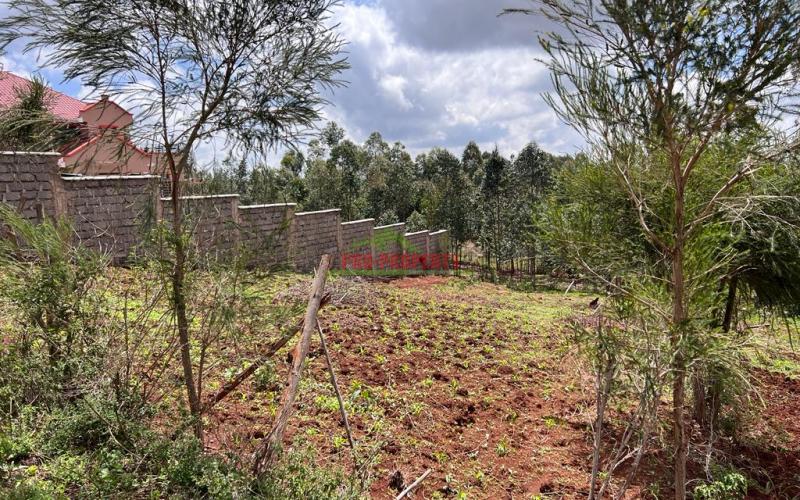 Prime Residential Plot For Sale In Kikuyu , Kamangu.