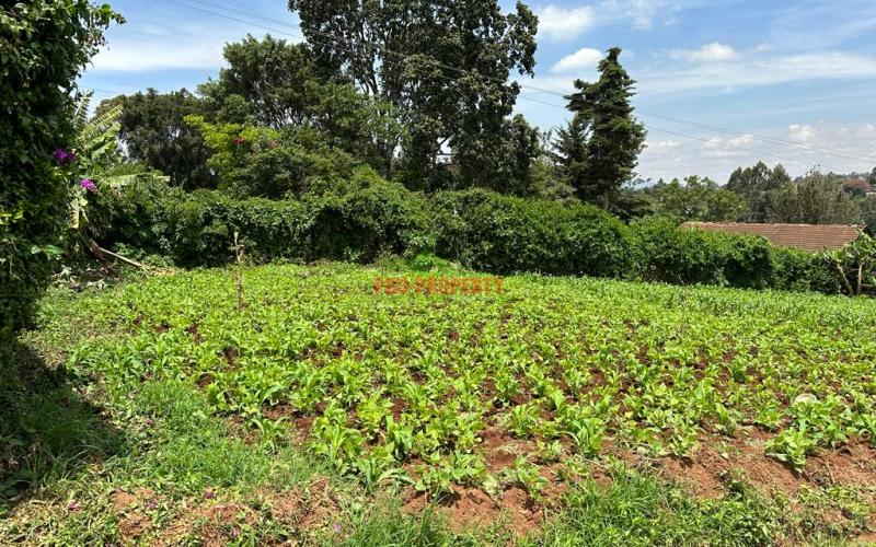 Prime Commercial Plot In Kikuyu Town.