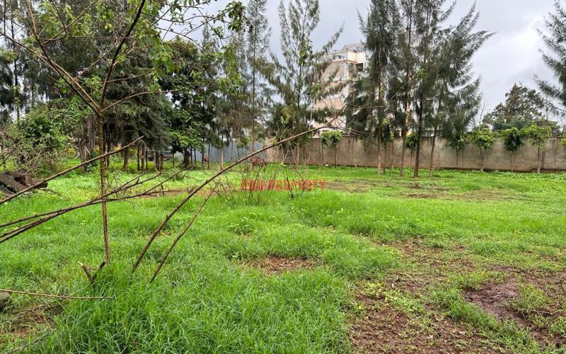 Prime Commercial Plot For Sale In Kikuyu Town.