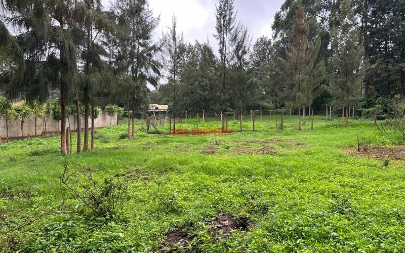 Prime Commercial Plot For Sale In Kikuyu Town.