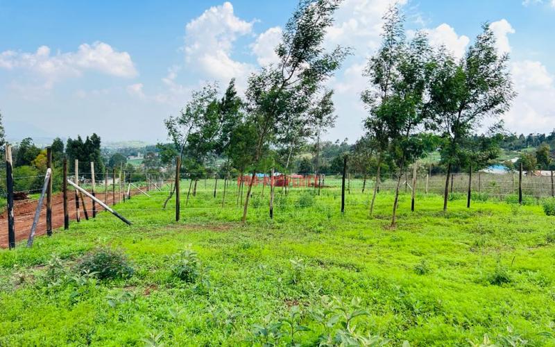 Prime Residential Plots For Sale In Kikuyu, Kamangu.
