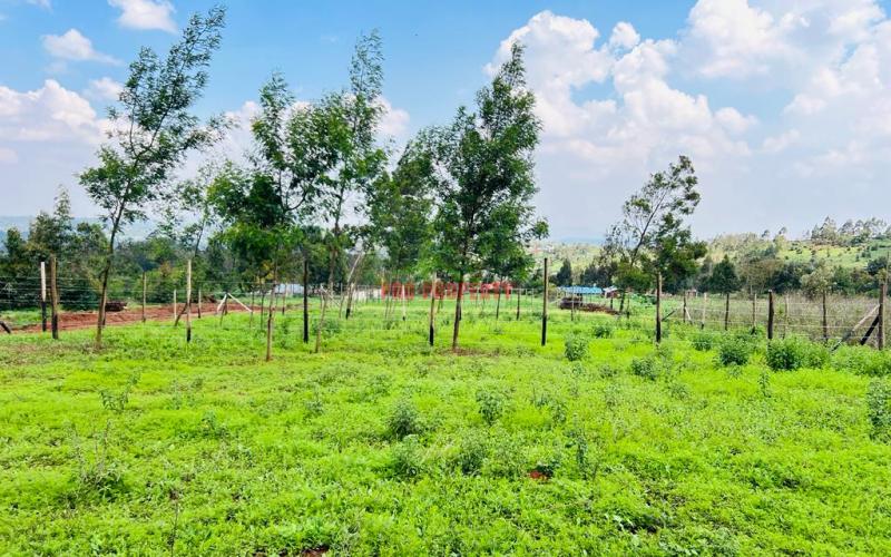 Prime Residential Plots For Sale In Kikuyu, Kamangu.