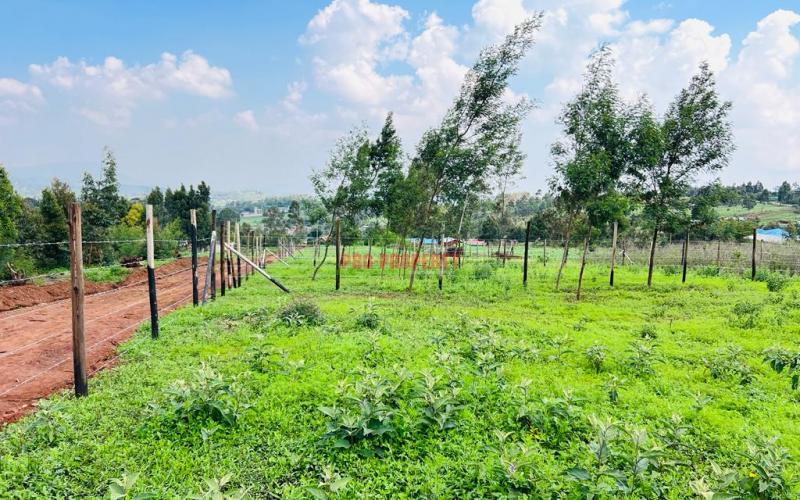 Prime Residential Plots For Sale in Kikuyu, Kamangu.