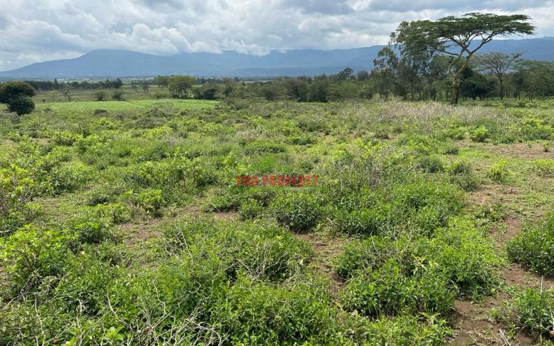 Plots For Sale Near Mai Mahiu Town.