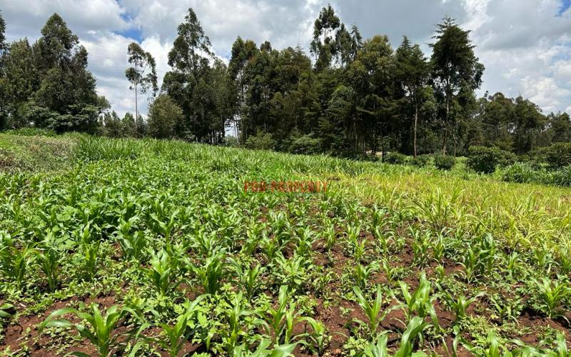 Commercial Plot For Sale Along Waiyaki Way In Rironi, Chunga Mali.