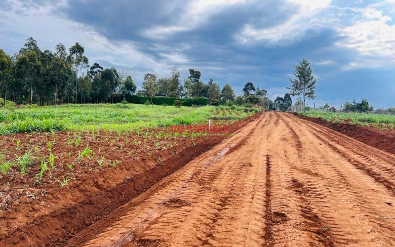 Prime Residential Plots For Sale In Kikuyu, Thigio.