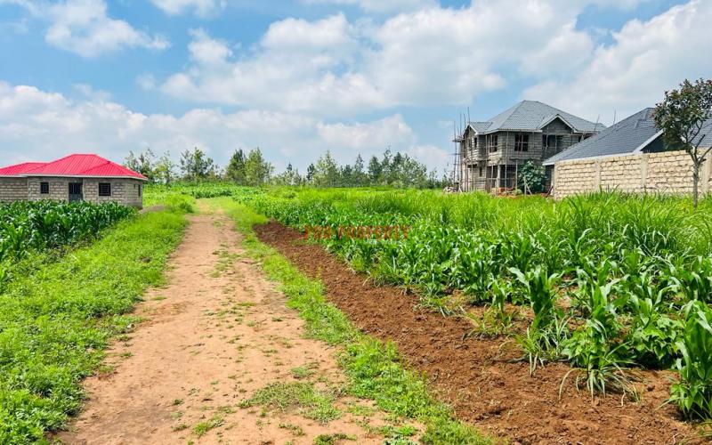 Prime Residential Plot For Sale In Kikuyu, Kamangu.