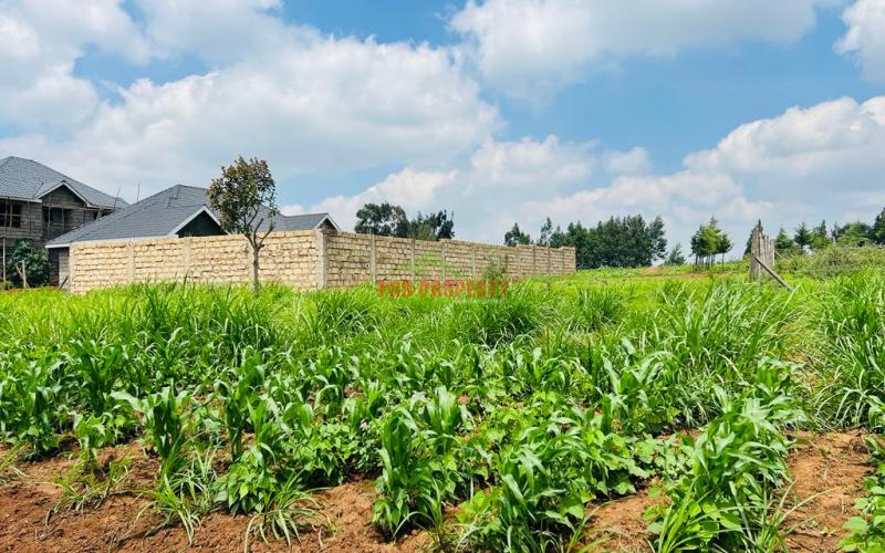 Prime Residential Plot For Sale In Kikuyu, Kamangu.