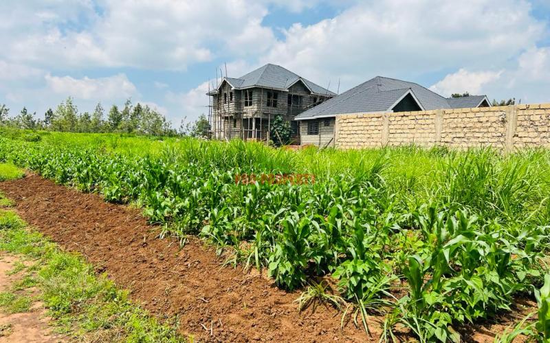 Prime Residential Plot For Sale In Kikuyu, Kamangu.