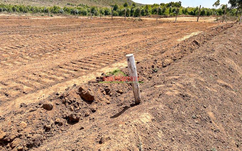 Affordable Residential Plots For Sale In Kikuyu, Kamangu, Nguirubi