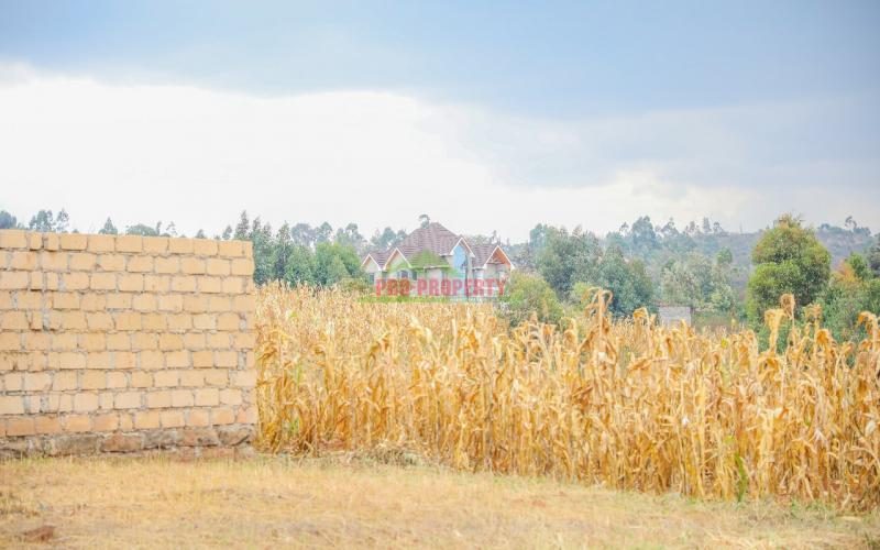 Prime Residential Plot For Sale In Kikuyu, Lusingetti