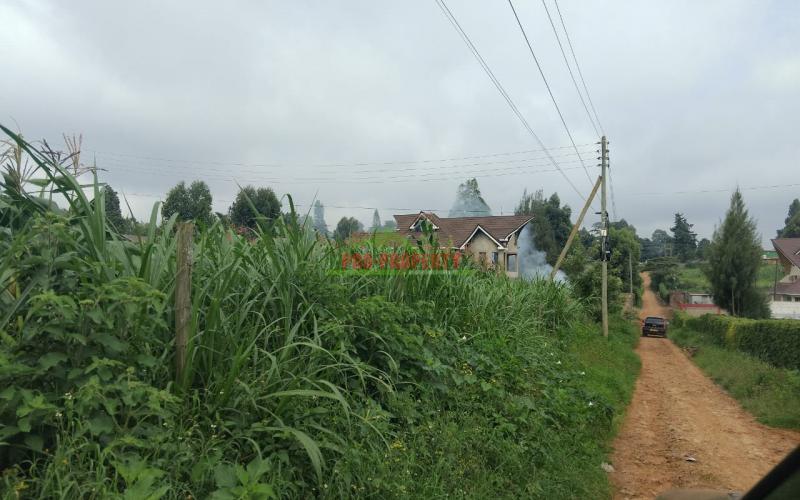 Prime 50 by 100 Plot in Ondiri - Kikuyu