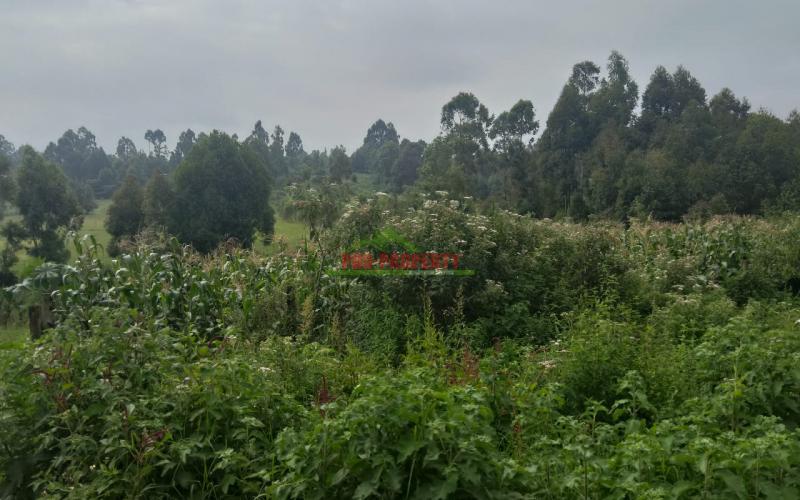 Prime 50 By 100 Plot In Ondiri - Kikuyu
