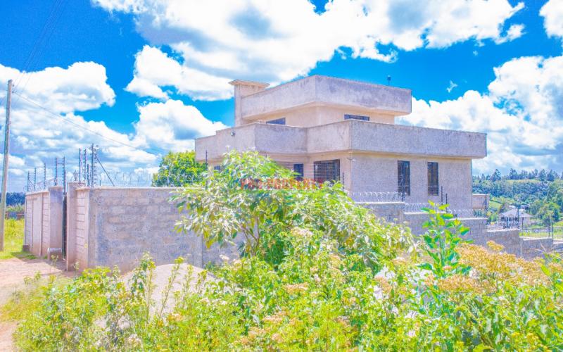 PRIME 50 BY 100 PLOT IN LUSINGETTI