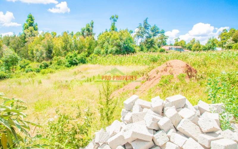 Prime 50 By 100 Plot In Kikuyu Lusingetti