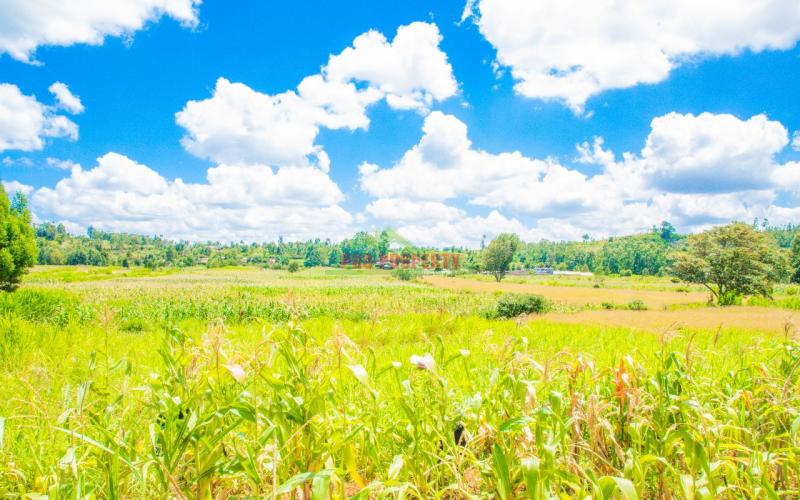 Prime 50 By 100 Plot In Lusingetti