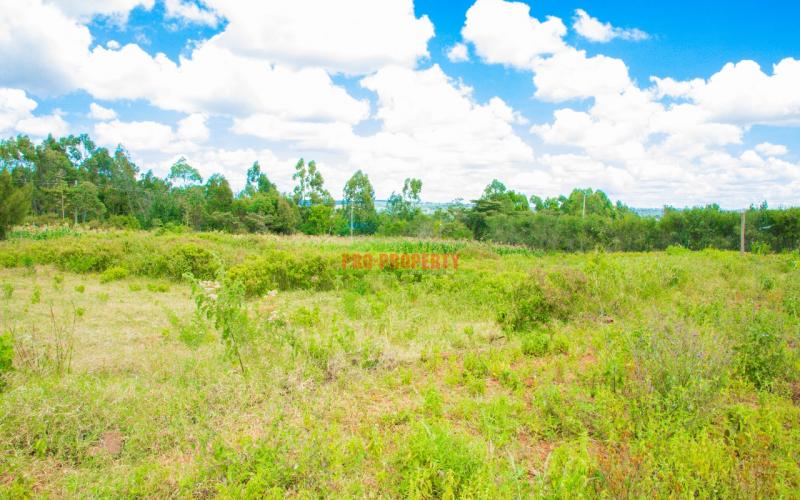Prime 1/2 Acre Plot For Sale In Lusingetti Kikuyu