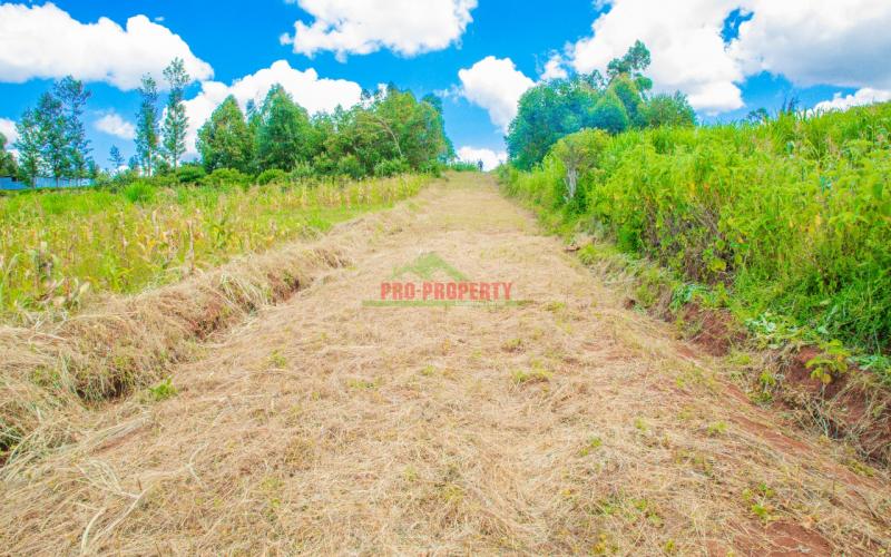 Prime 50 By 100 Plots In Kikuyu- Gikambura