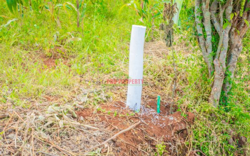 Prime 50 By 100 Plots In Kikuyu- Gikambura