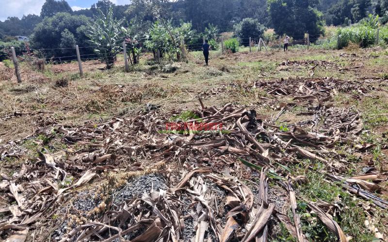 Quick Sale Of A Prime 50 By 100 Plot In Gikambura Kikuyu