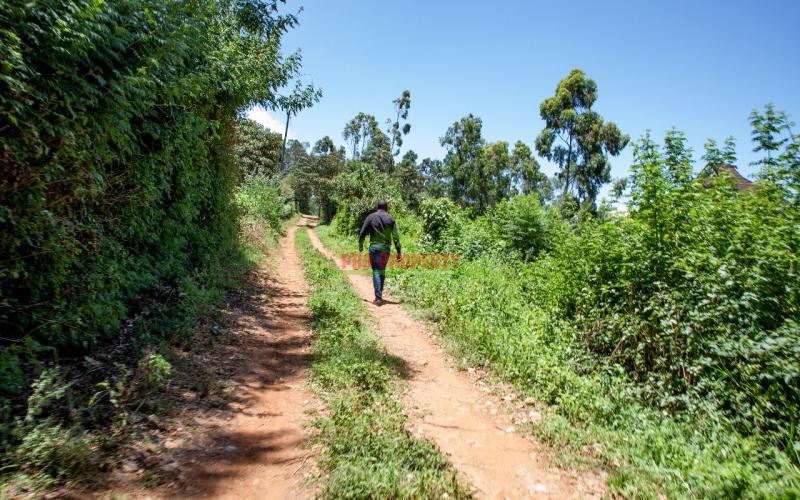 Prime Plots For Sale In Kikuyu Gikambura ( Jambo Tv Road)