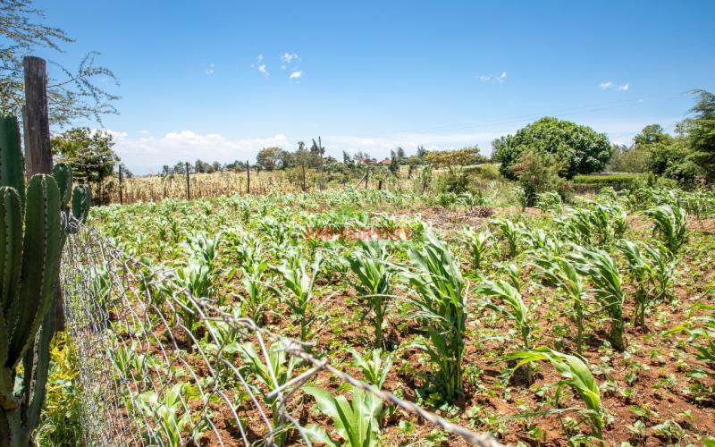 Prime 60 By 100 Sq Ft For Sale In Kikuyu Kamangu