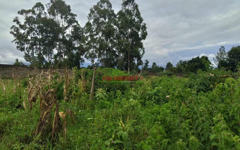 Prime Commercial 100 By 100 Sq Ft Plots For Sale In Sigona Along Waiyaki Way